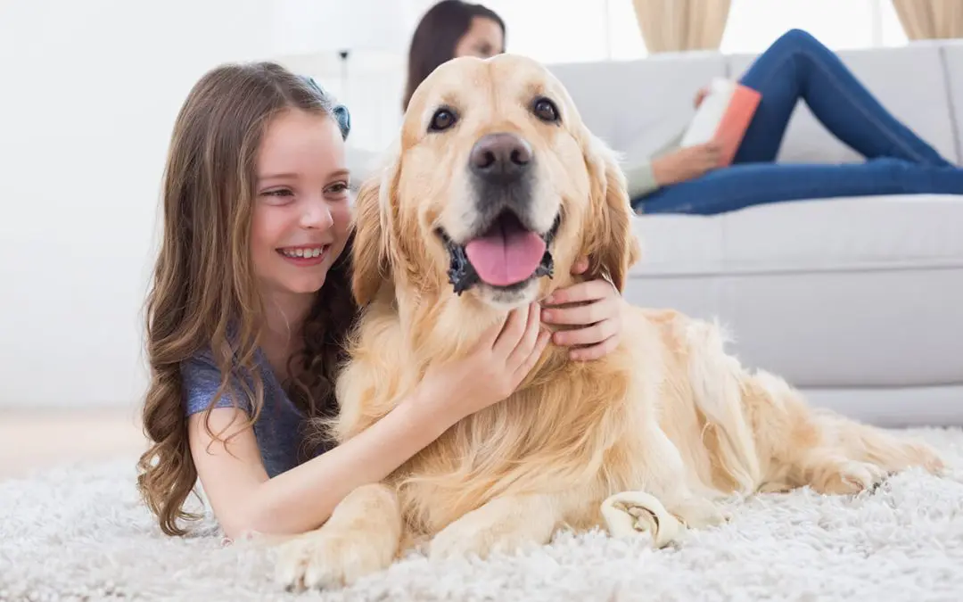 Fresh and Fur-Free: Smart Cleaning Tips for Pet Owners