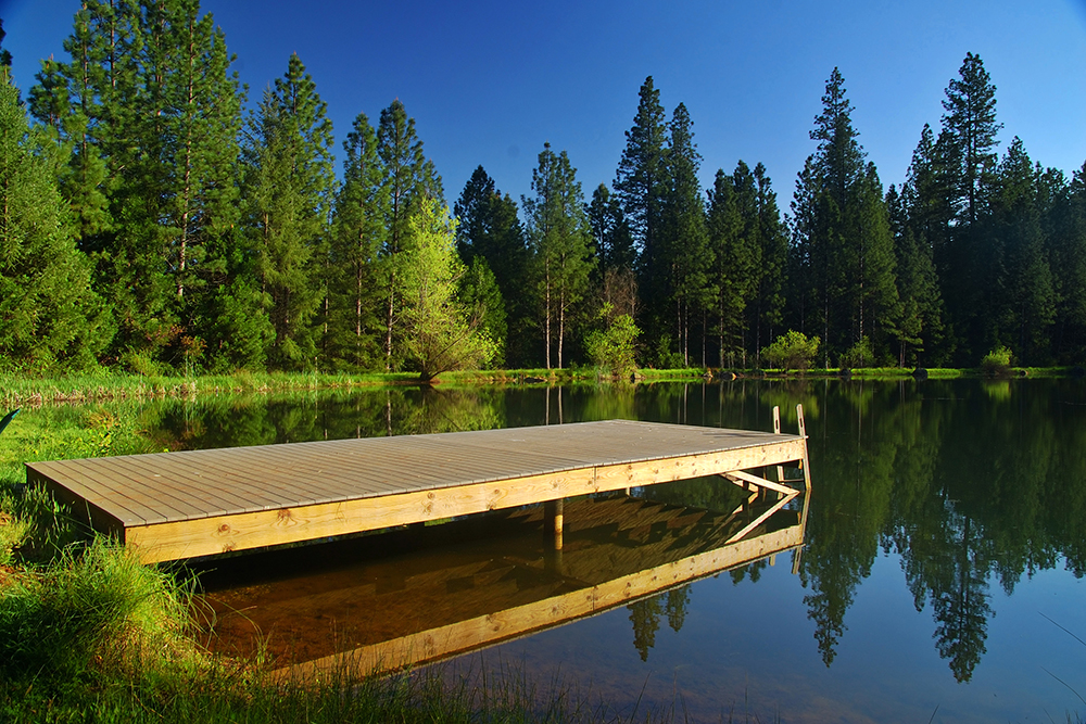 Lake shore, wooden dock and tall trees.