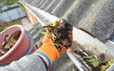 5 Tips for Cleaning Your Gutters