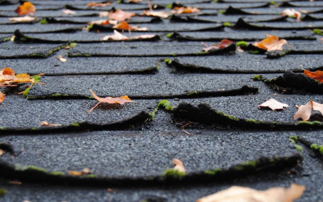 5 Tips for Yearly Roof Maintenance