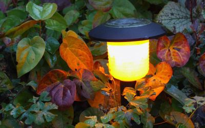 The Benefits of Solar Lighting for Homeowners