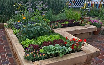 9 Ways Help Your Garden Survive Summer